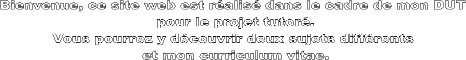 Bienvenue, ce site web est ralis dans le cadre de mon DUT 
pour le projet tutor.
Vous pourrez y dcouvrir deux sujets diffrents 
et mon curriculum vitae.